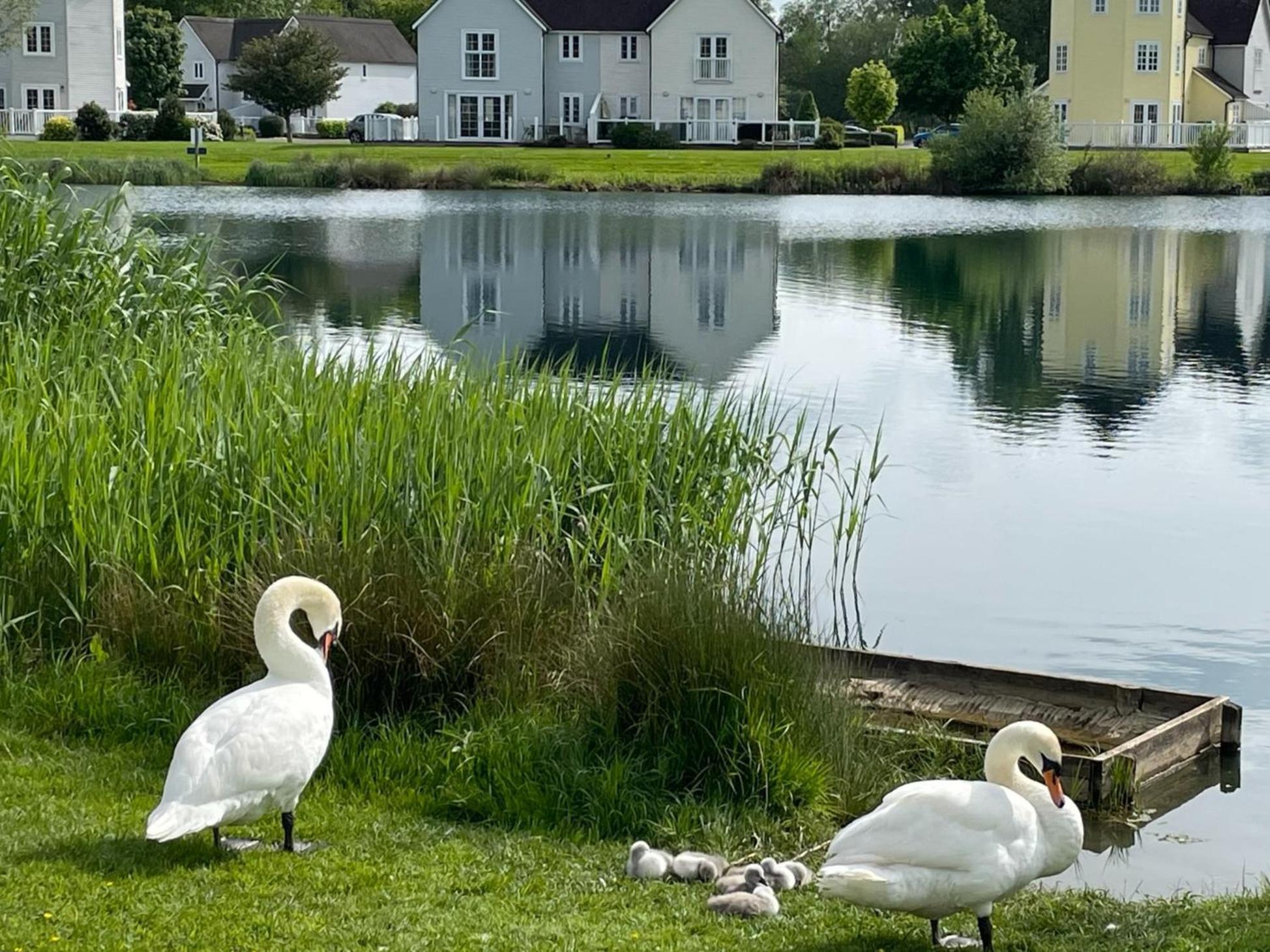 Nyhavn Lakeside Cottage Cirencester Eksteriør bilde